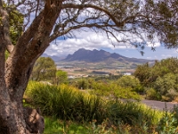 Paarl, Winelands